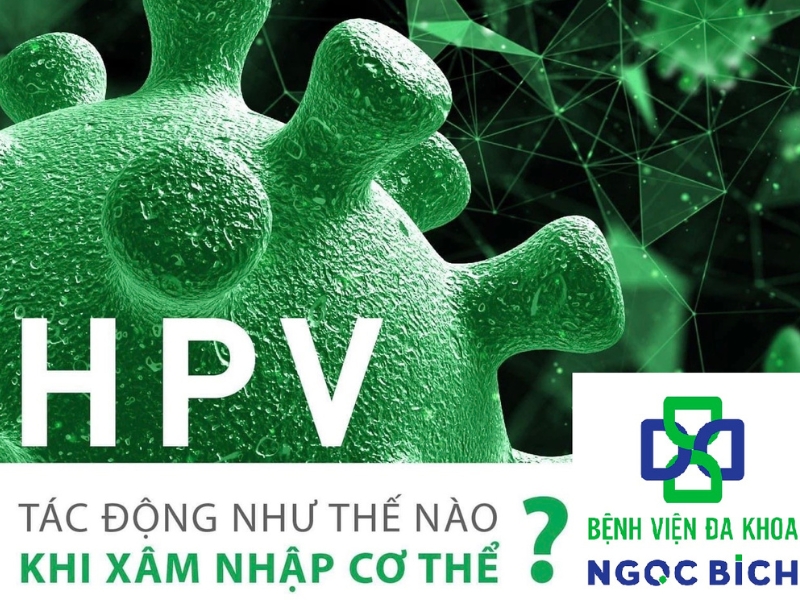 HPV tác động như thế nào khi xâm nhập cơ thể con người?